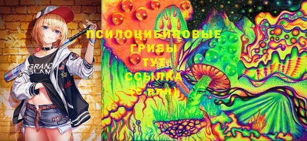 бошки Сосновка